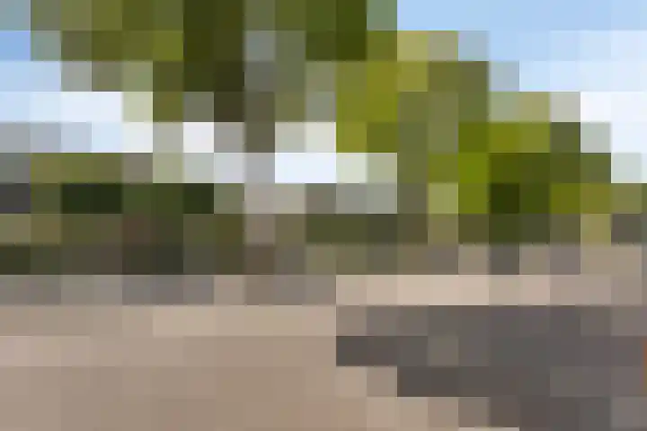Moddermanstraat 9 Oss thumbnail 33