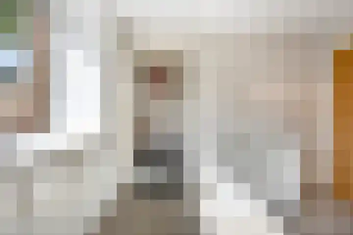 Moddermanstraat 9 Oss thumbnail 9