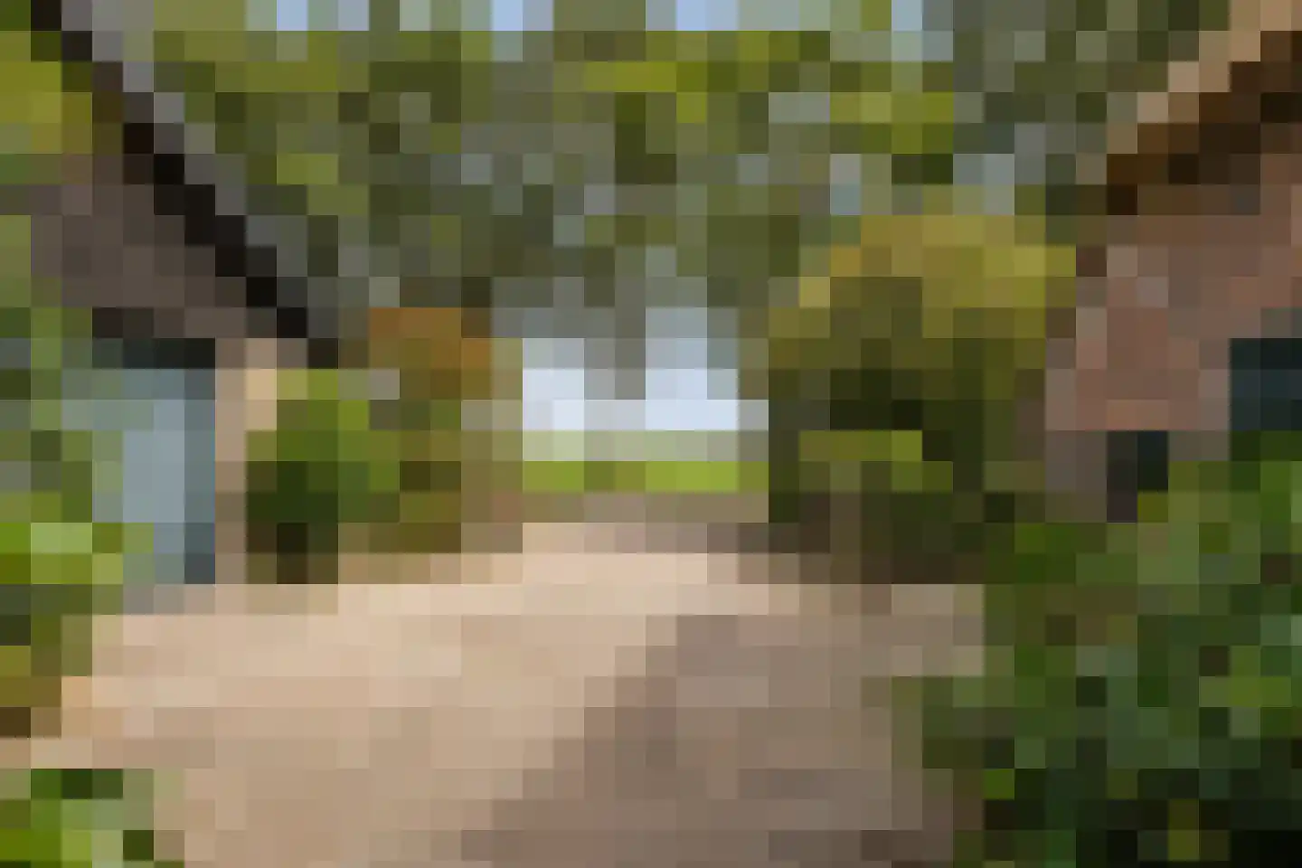 Modderwijk 5 Noordscheschut thumbnail 12