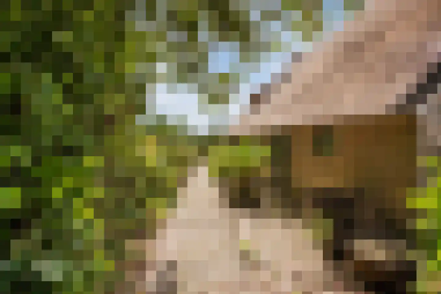 Modderwijk 5 Noordscheschut thumbnail 13