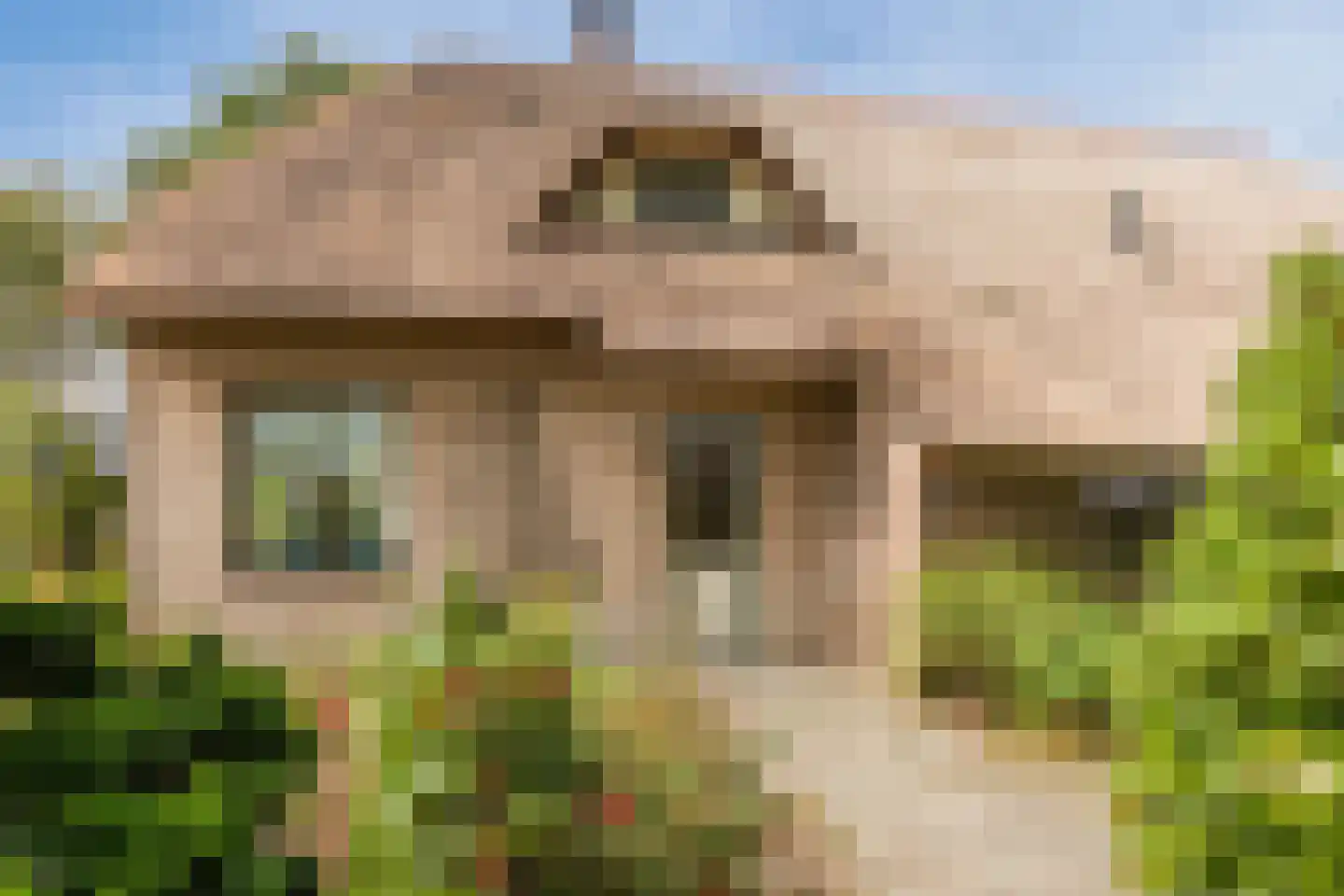 Modderwijk 5 Noordscheschut thumbnail 14