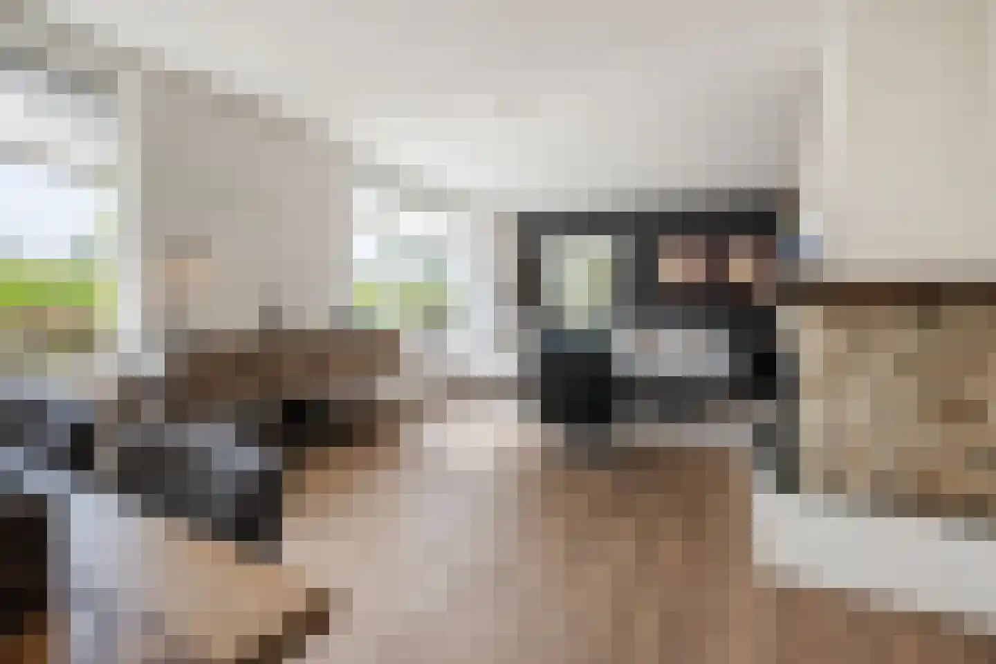 Modderwijk 5 Noordscheschut thumbnail 16