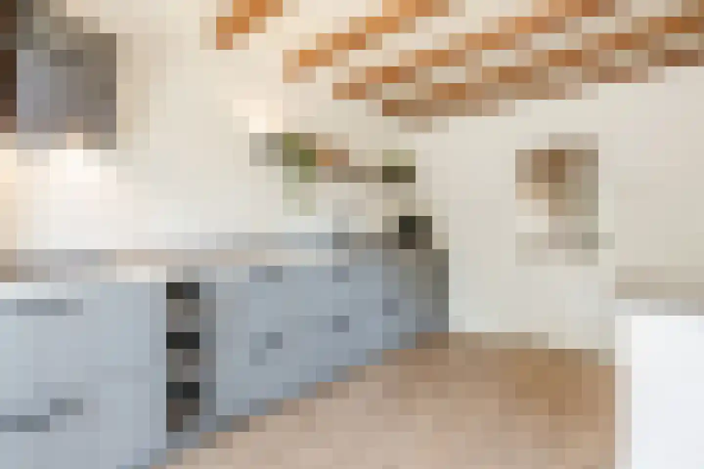 Modderwijk 5 Noordscheschut thumbnail 25