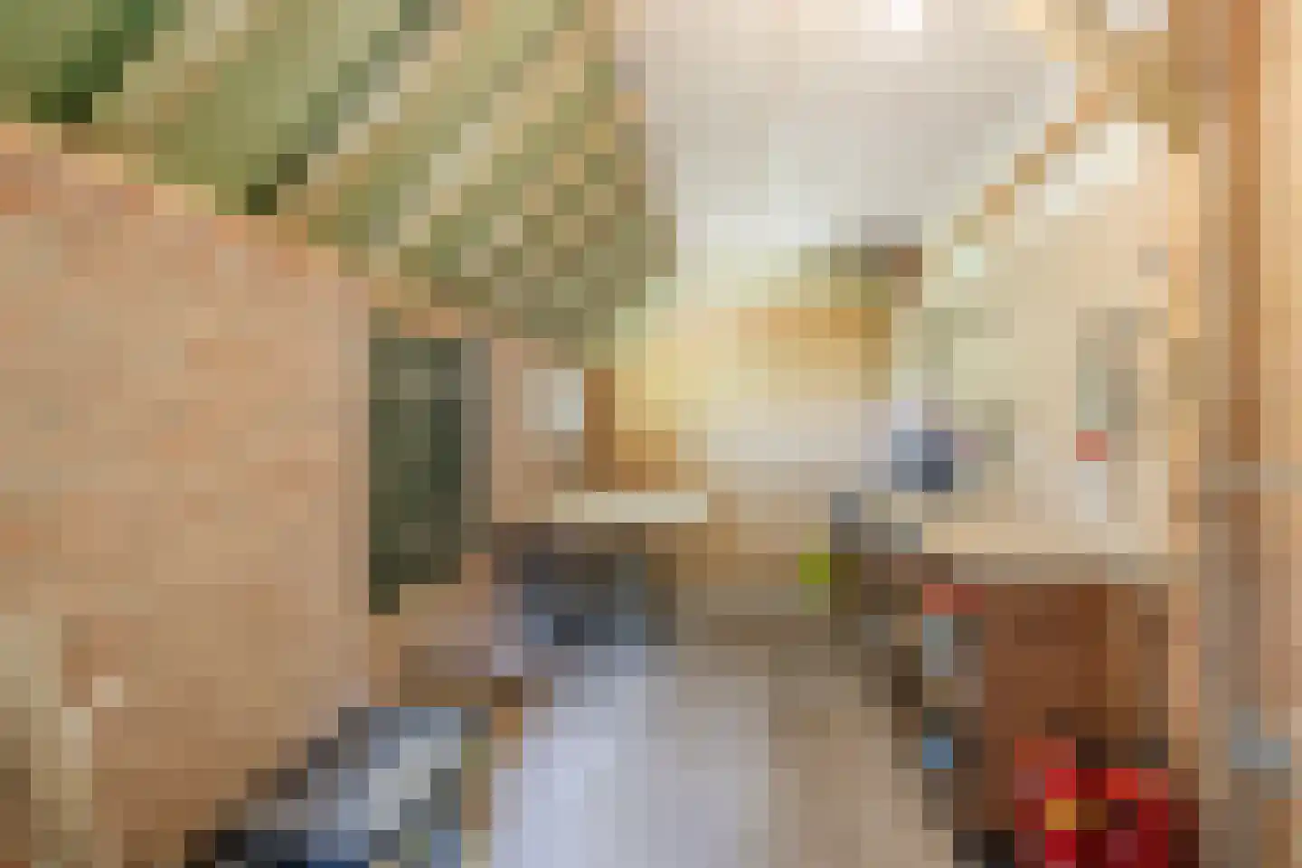 Modderwijk 5 Noordscheschut thumbnail 38