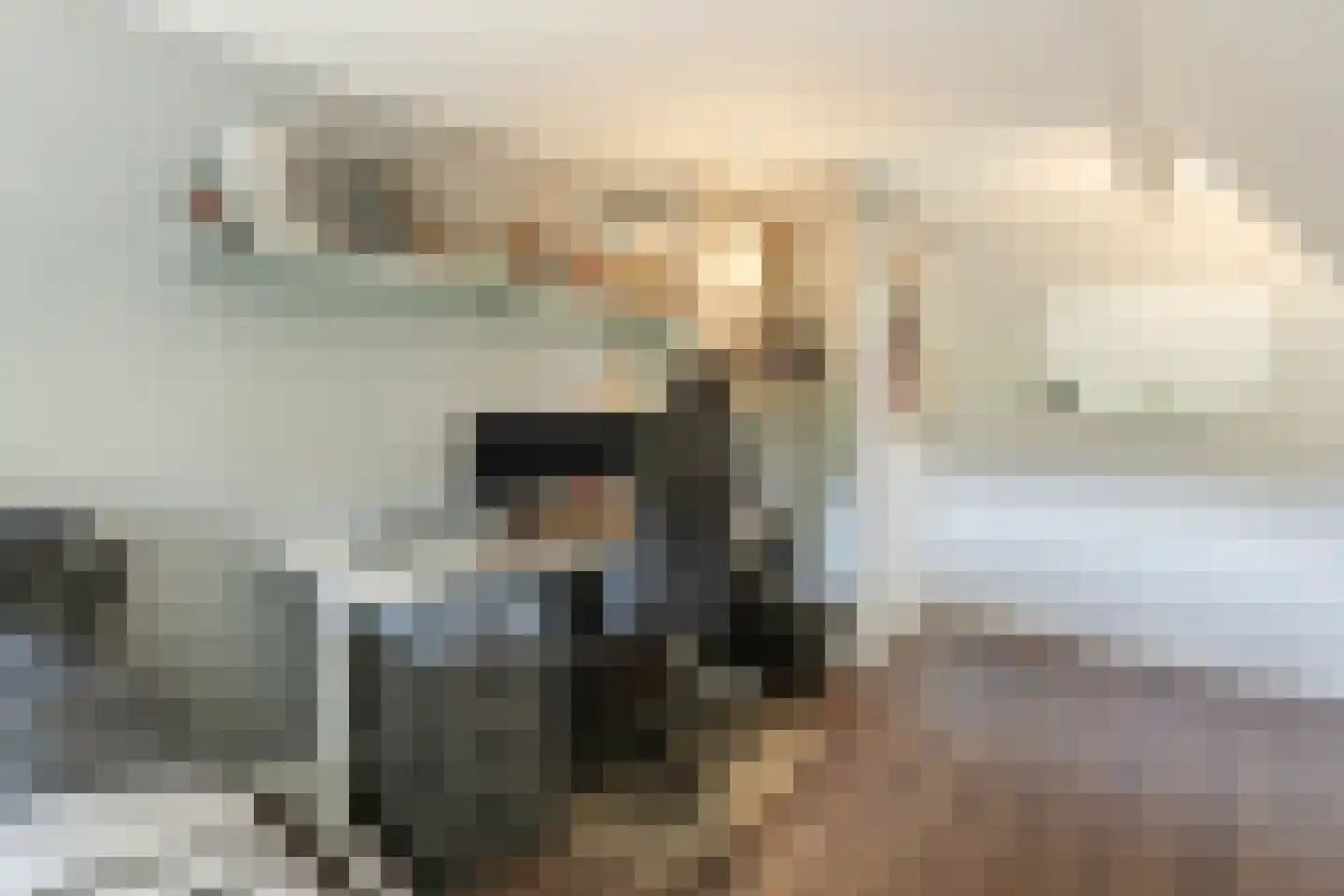 Modderwijk 5 Noordscheschut thumbnail 45