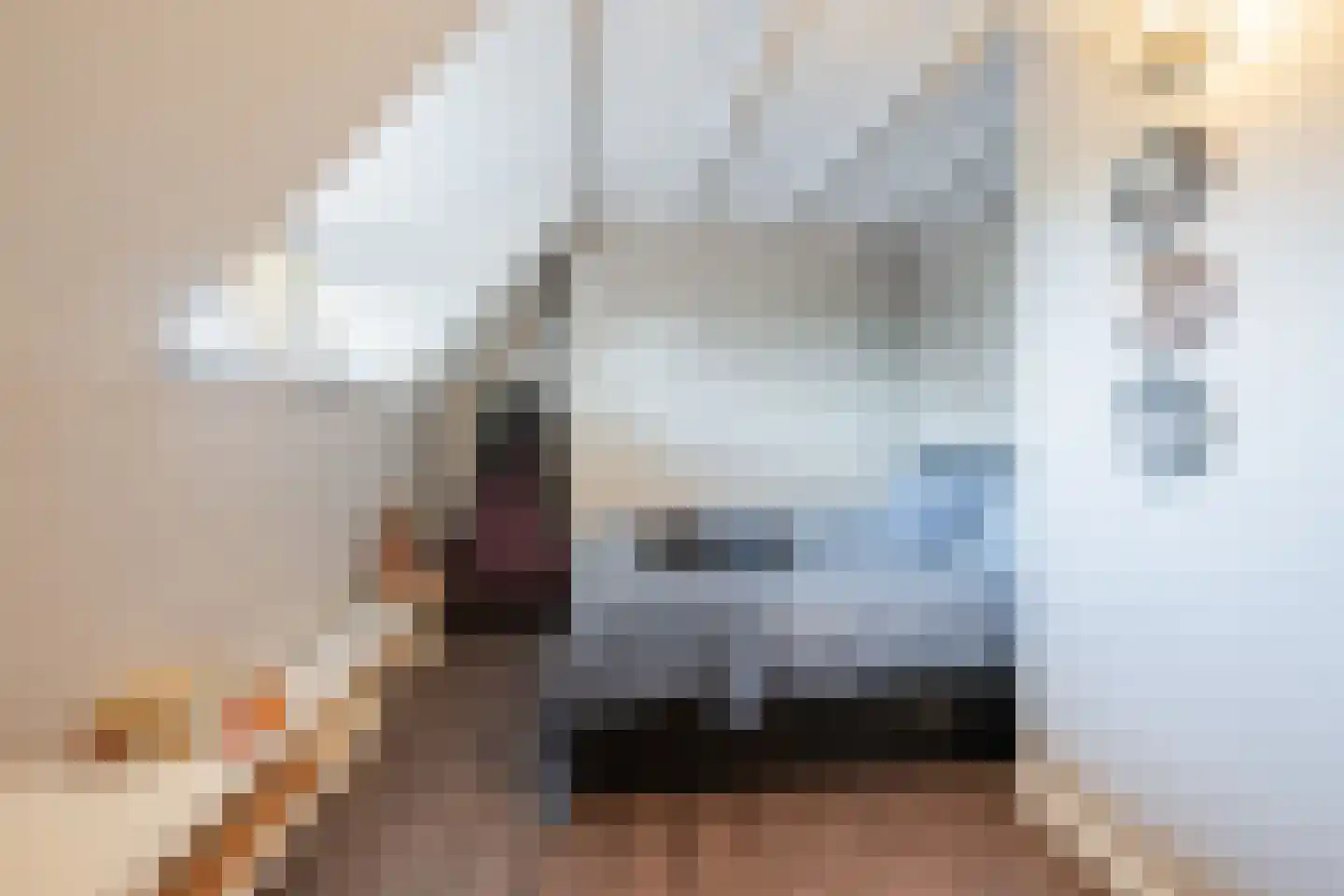 Modderwijk 5 Noordscheschut thumbnail 46