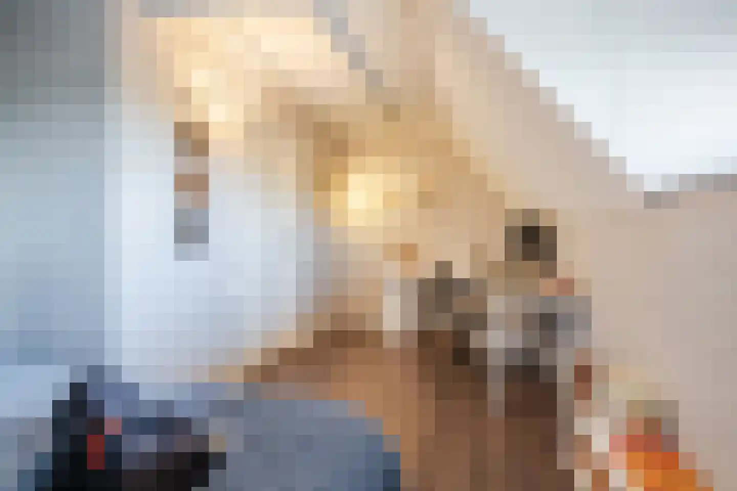 Modderwijk 5 Noordscheschut thumbnail 47