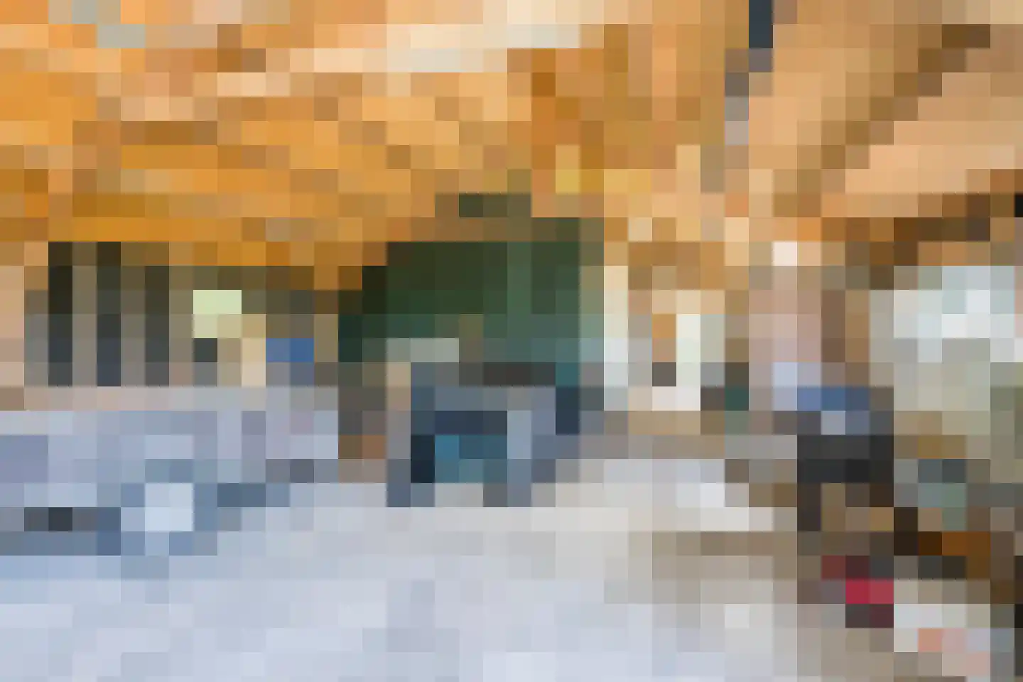 Modderwijk 5 Noordscheschut thumbnail 52