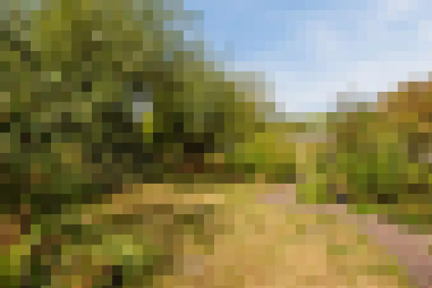 Modderwijk 5 Noordscheschut thumbnail 55