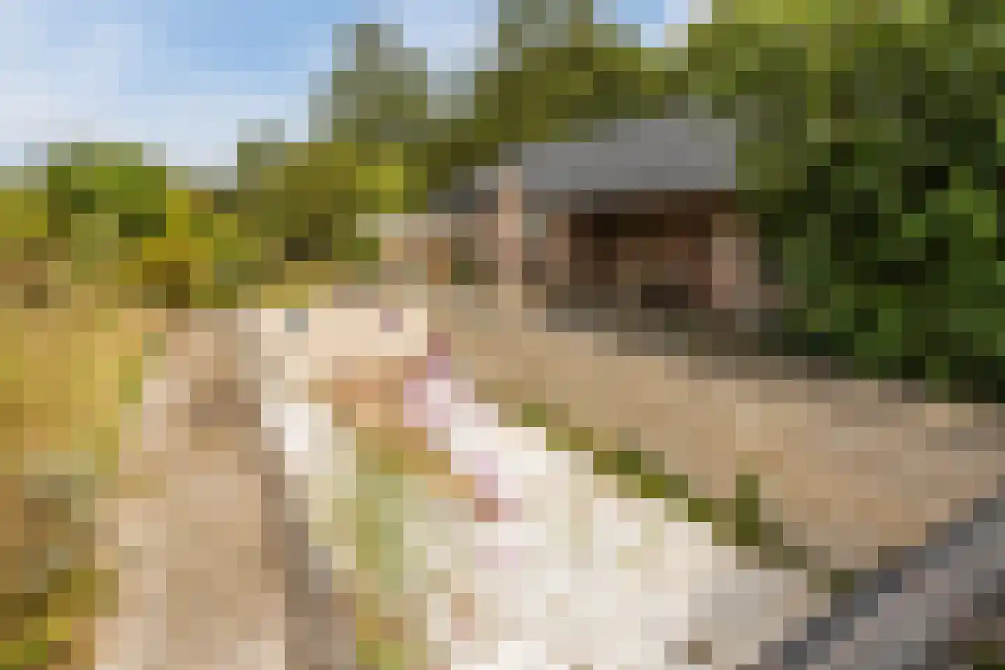 Modderwijk 5 Noordscheschut thumbnail 56