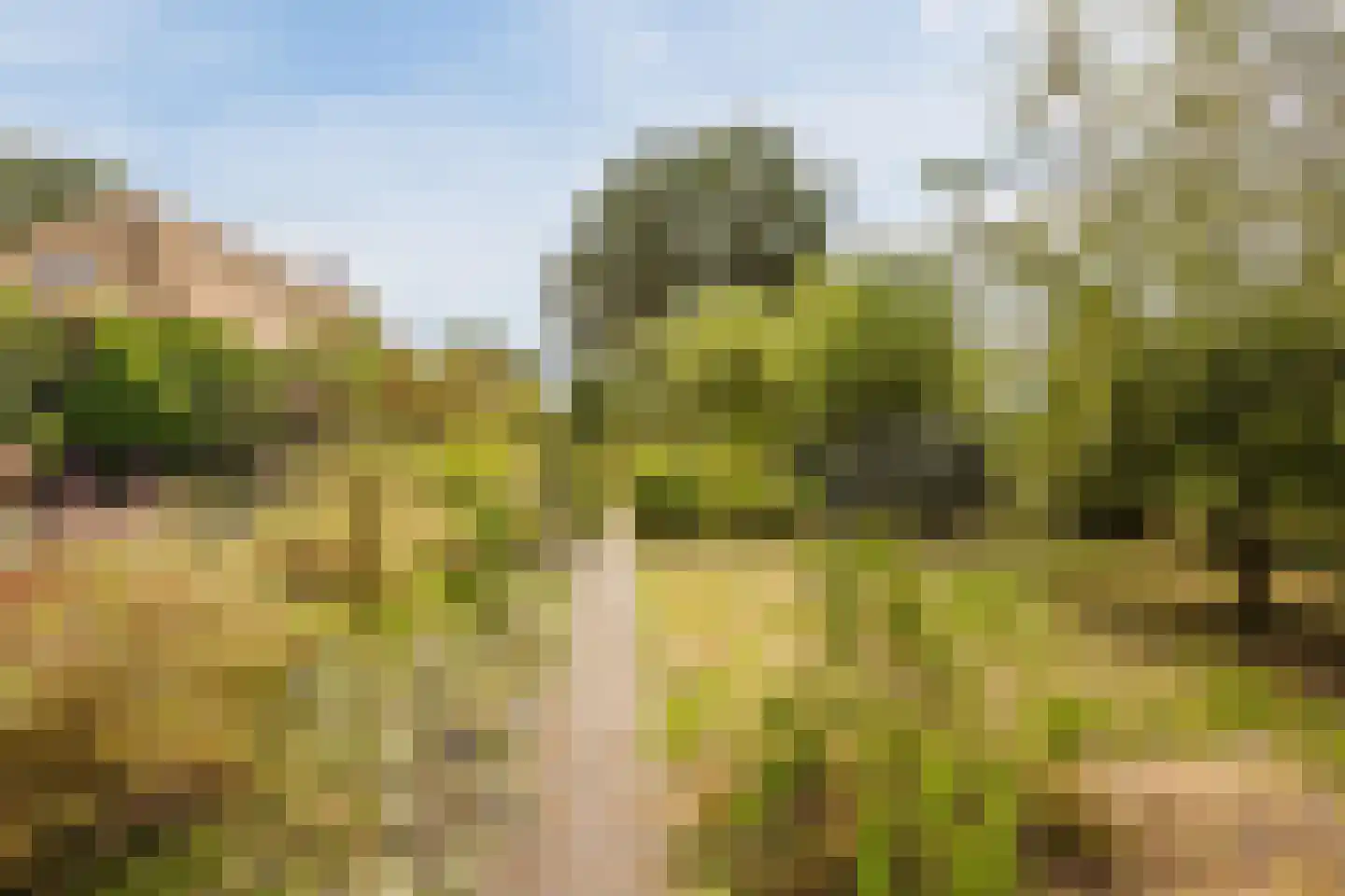Modderwijk 5 Noordscheschut thumbnail 58