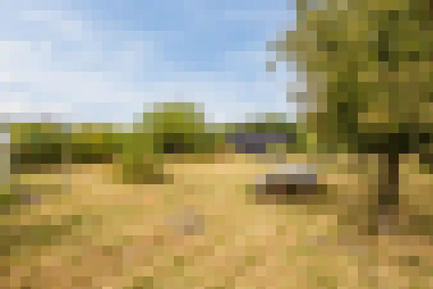 Modderwijk 5 Noordscheschut thumbnail 59