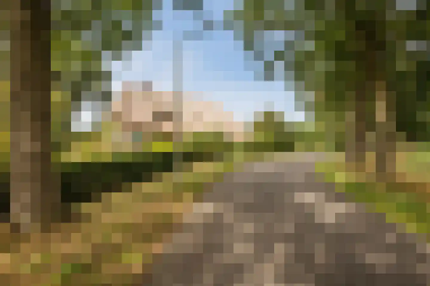 Modderwijk 5 Noordscheschut thumbnail 6
