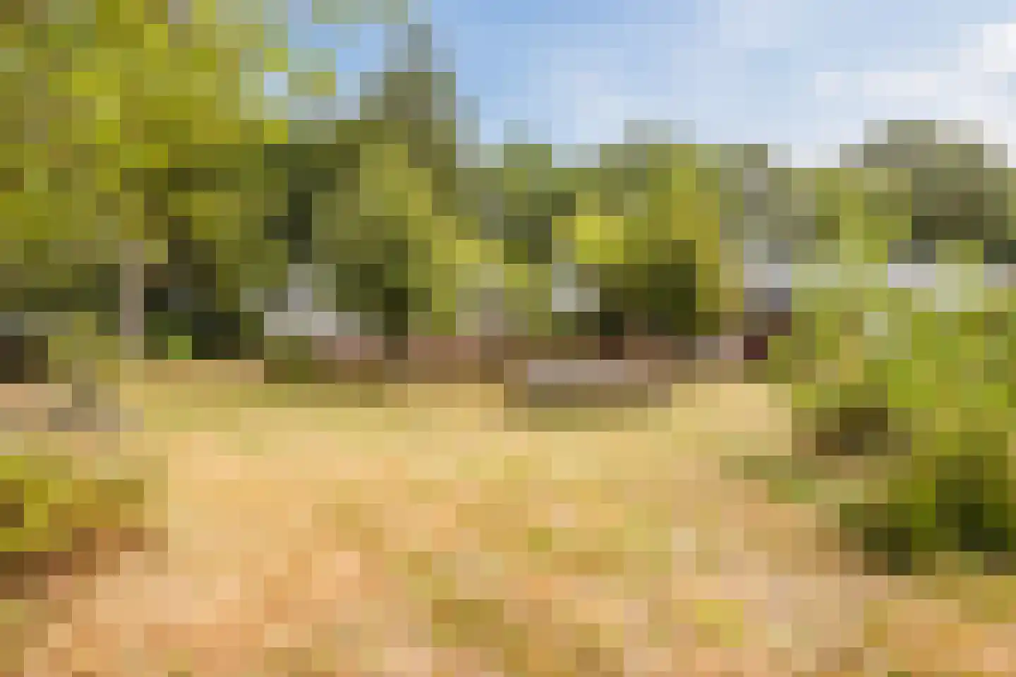 Modderwijk 5 Noordscheschut thumbnail 61