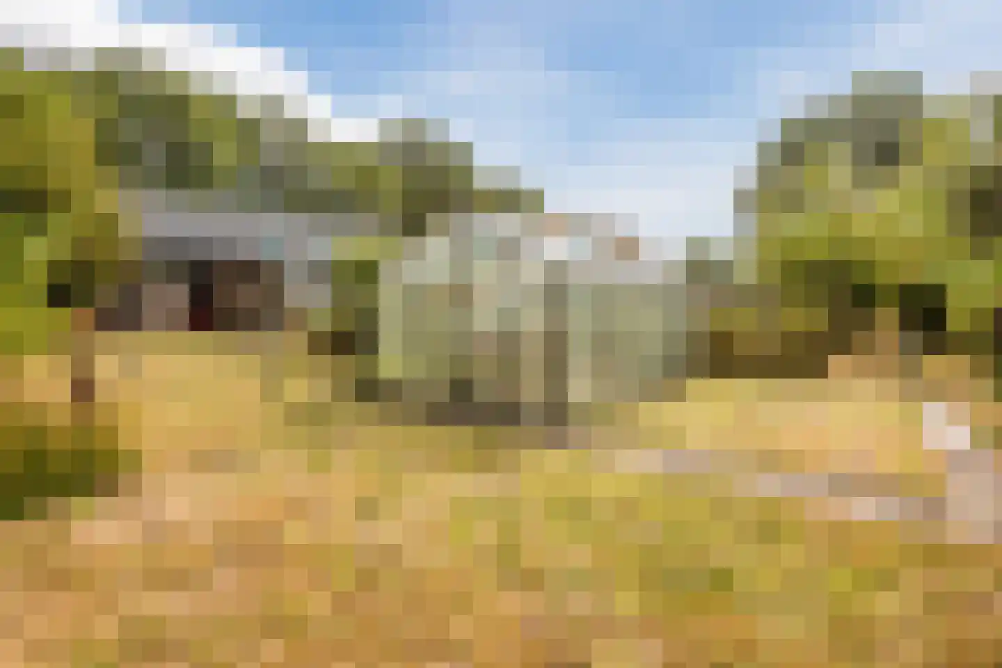 Modderwijk 5 Noordscheschut thumbnail 62