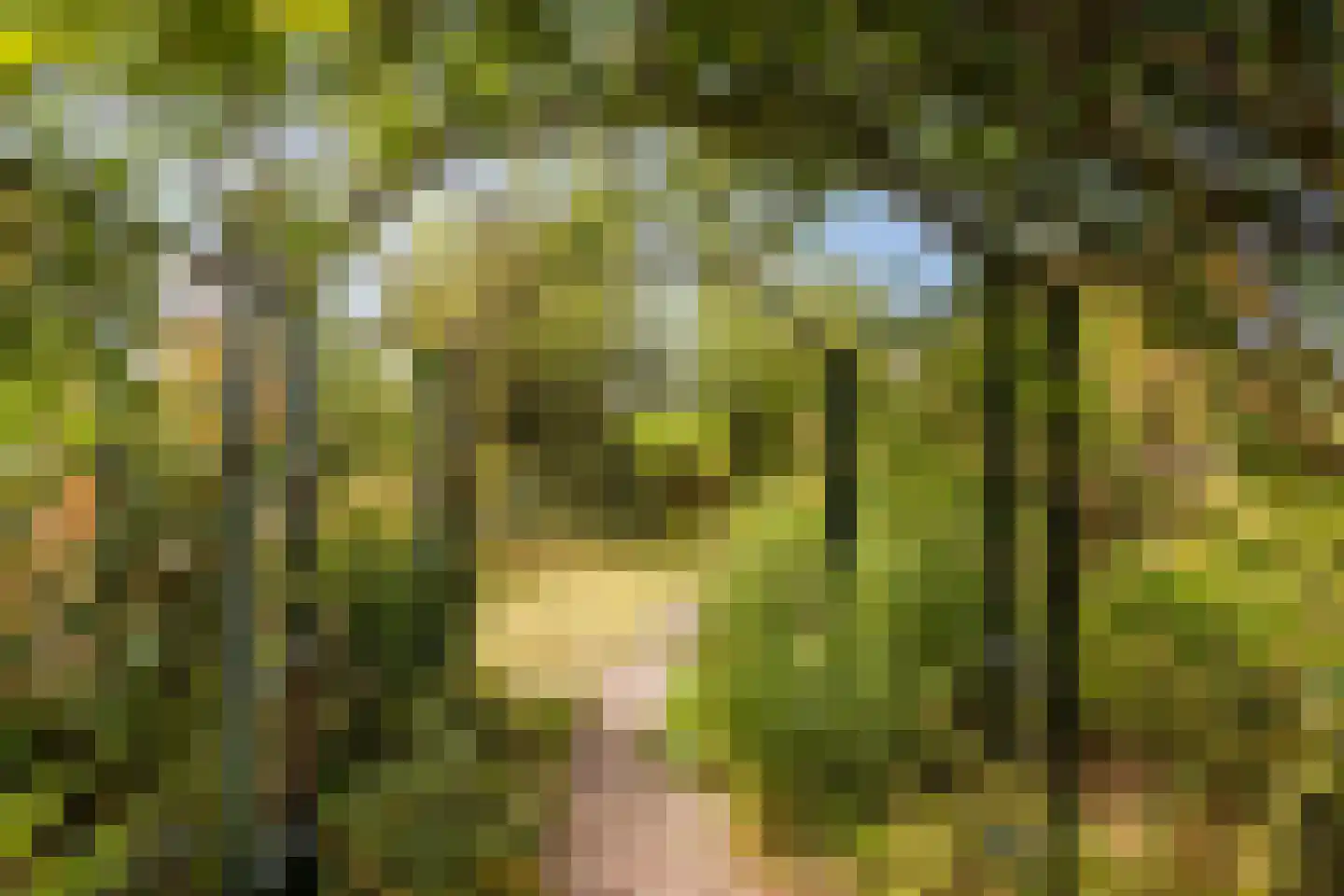 Modderwijk 5 Noordscheschut thumbnail 65