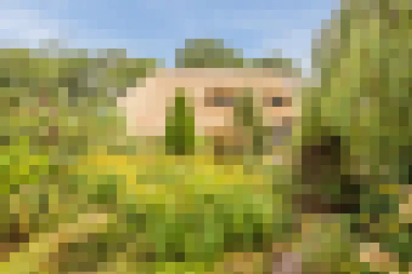 Modderwijk 5 Noordscheschut thumbnail 66