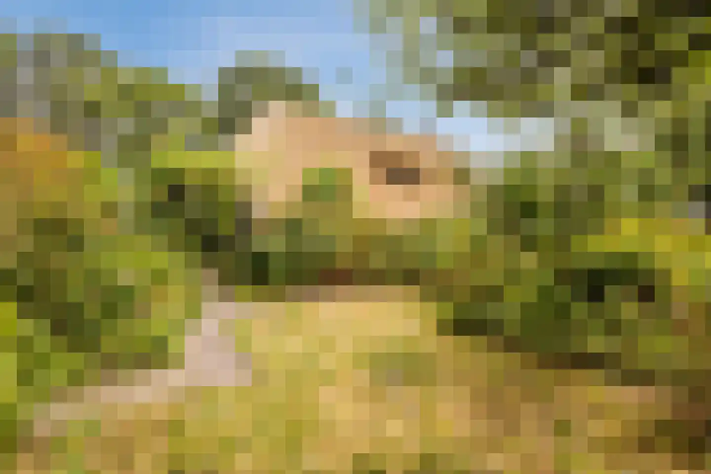 Modderwijk 5 Noordscheschut thumbnail 67