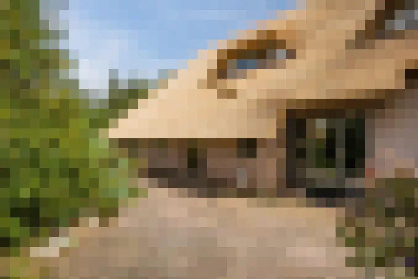 Modderwijk 5 Noordscheschut thumbnail 69