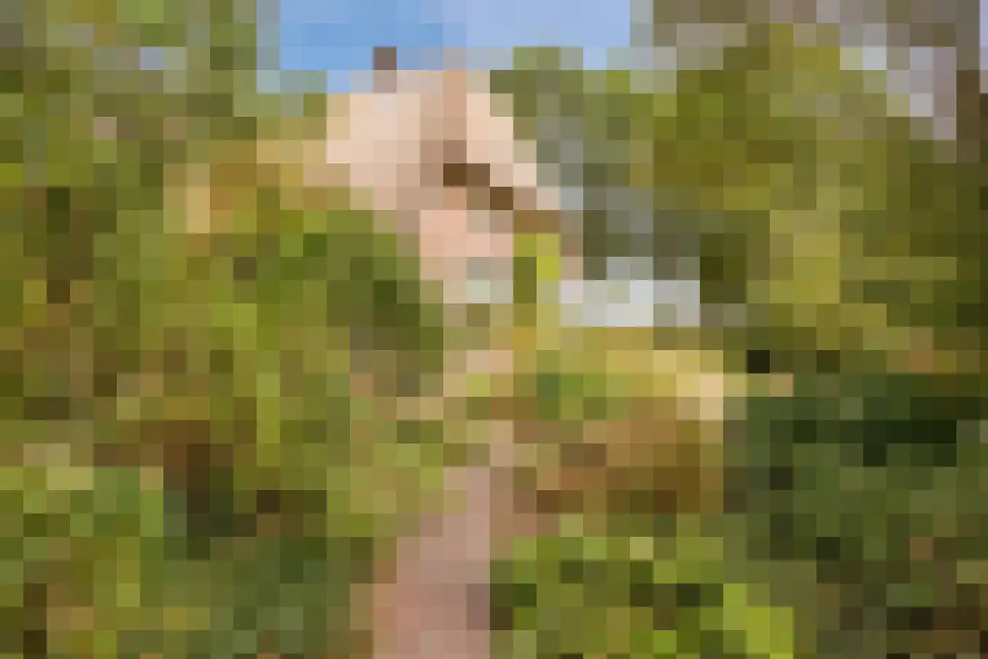 Modderwijk 5 Noordscheschut thumbnail 70