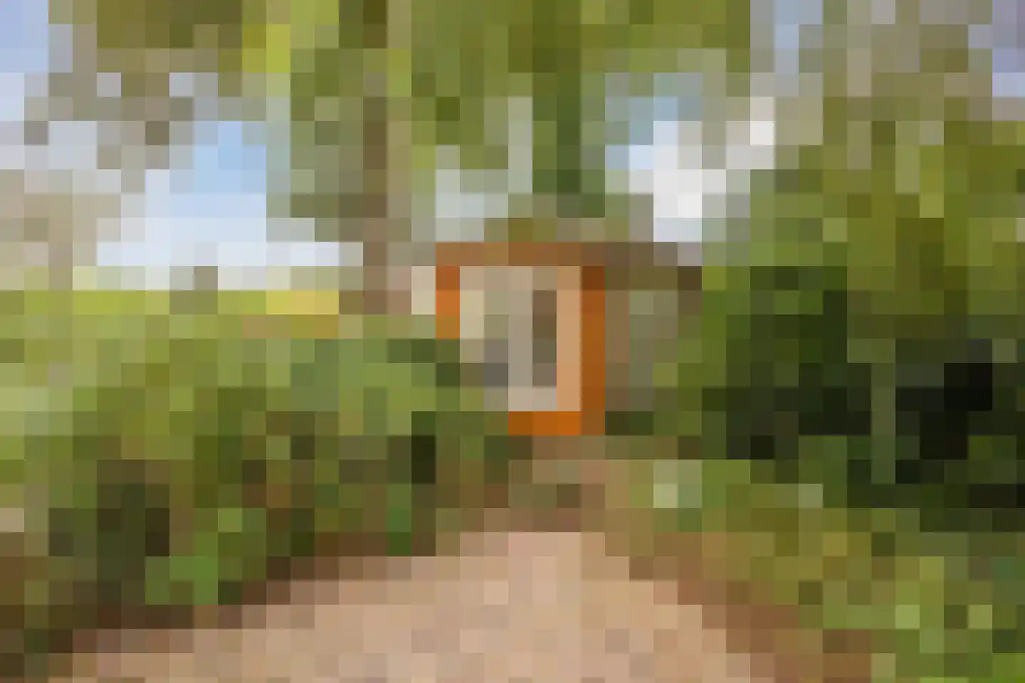 Modderwijk 5 Noordscheschut thumbnail 72