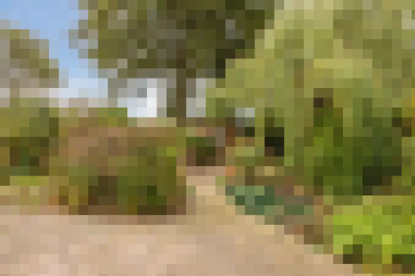 Modderwijk 5 Noordscheschut thumbnail 73