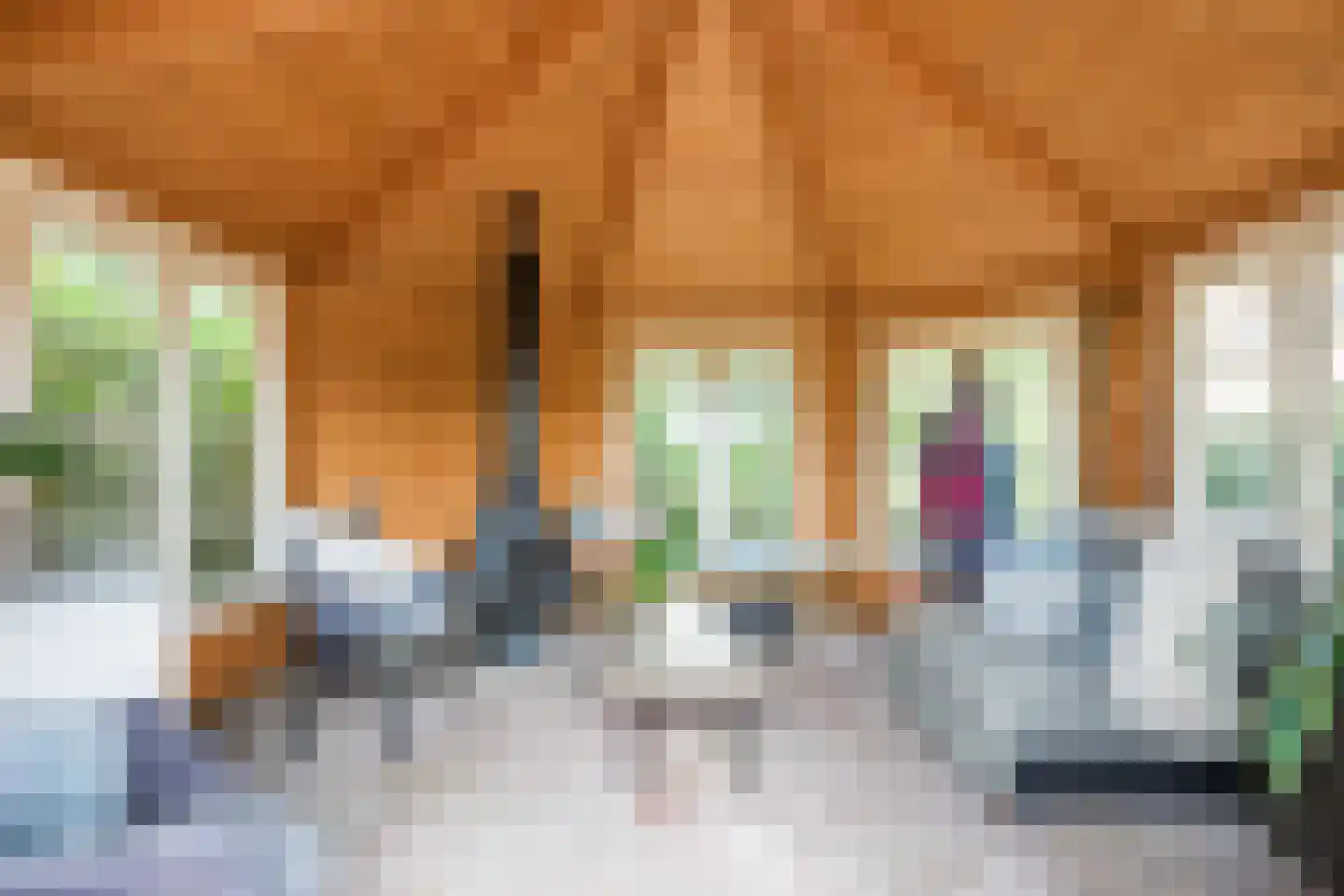 Modderwijk 5 Noordscheschut thumbnail 74