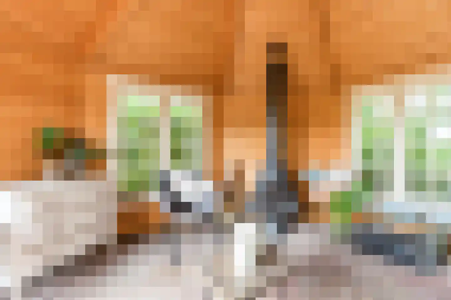 Modderwijk 5 Noordscheschut thumbnail 75