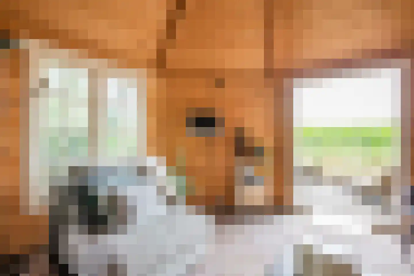 Modderwijk 5 Noordscheschut thumbnail 76