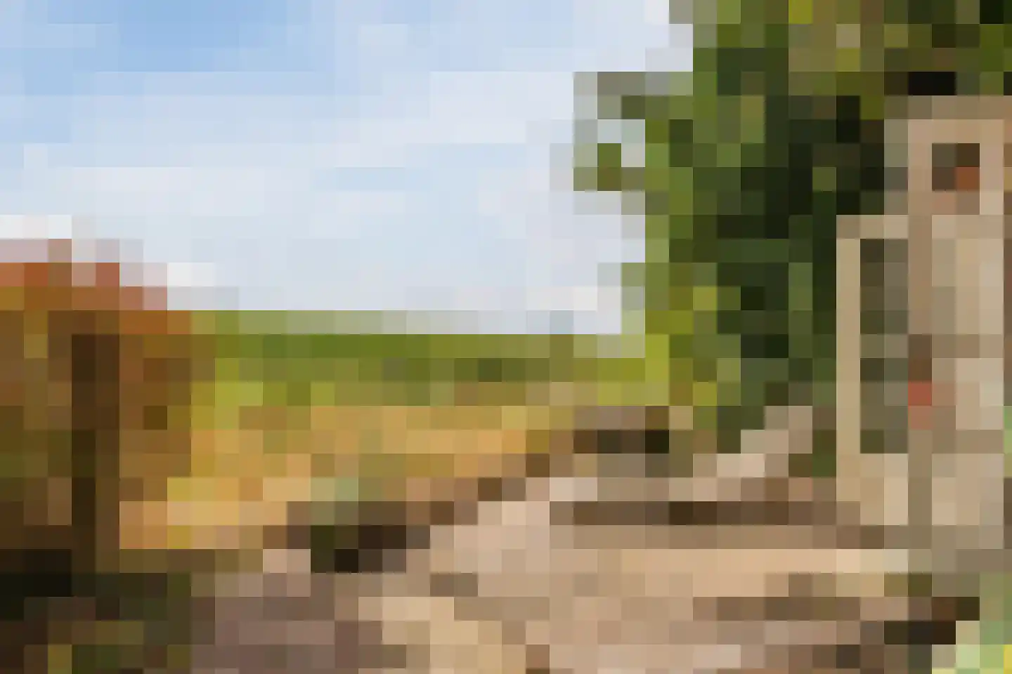 Modderwijk 5 Noordscheschut thumbnail 78