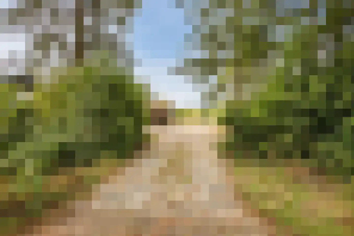 Modderwijk 5 Noordscheschut thumbnail 79