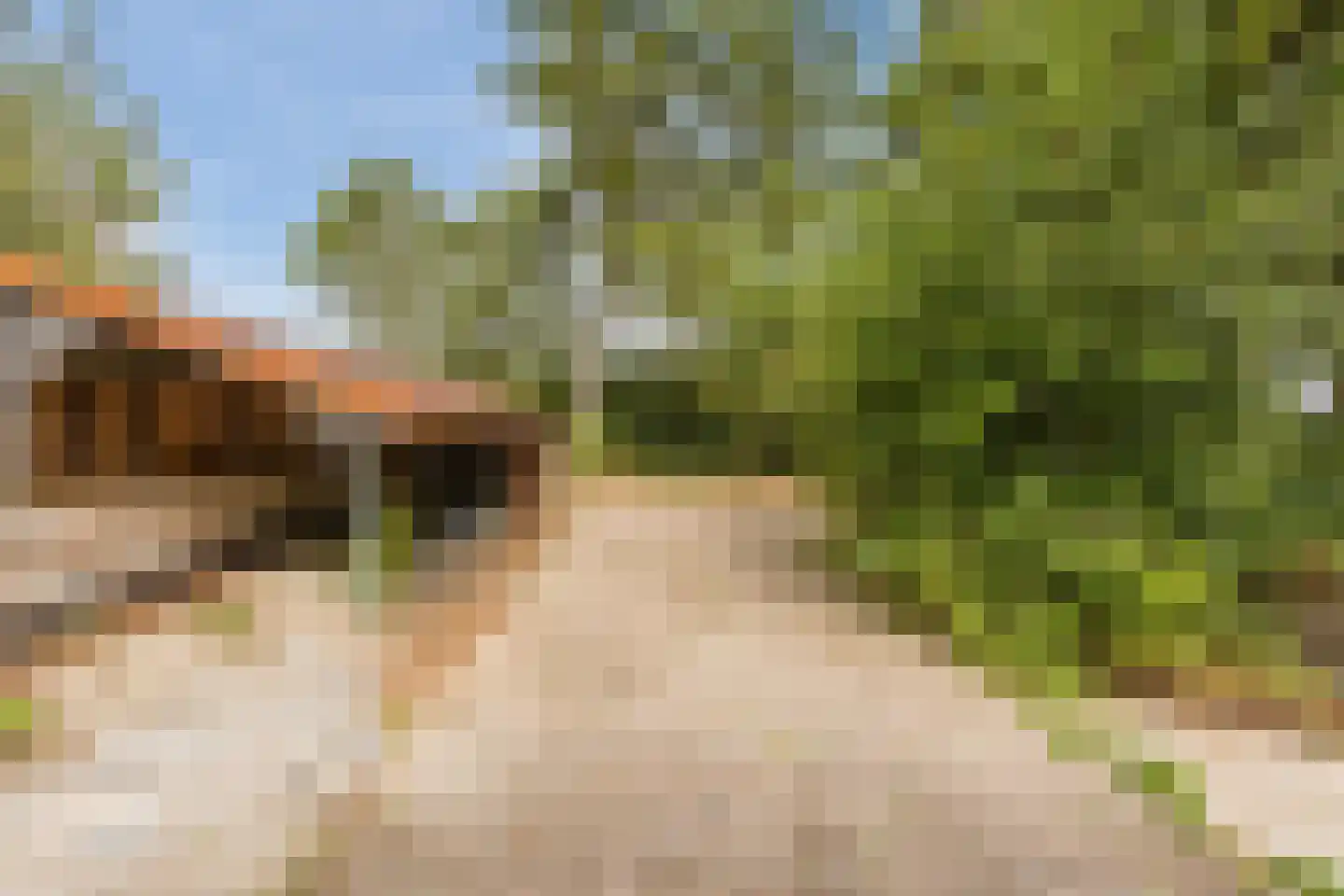 Modderwijk 5 Noordscheschut thumbnail 80