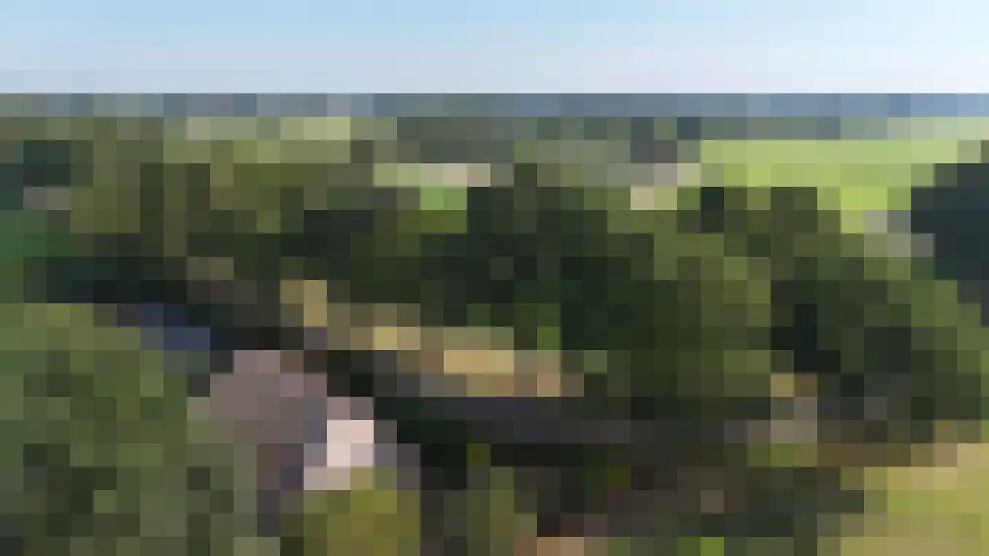 Modderwijk 5 Noordscheschut thumbnail 81