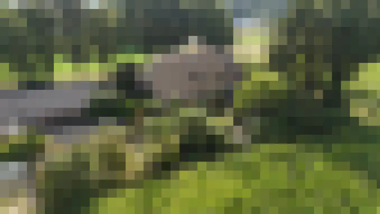 Modderwijk 5 Noordscheschut thumbnail 82