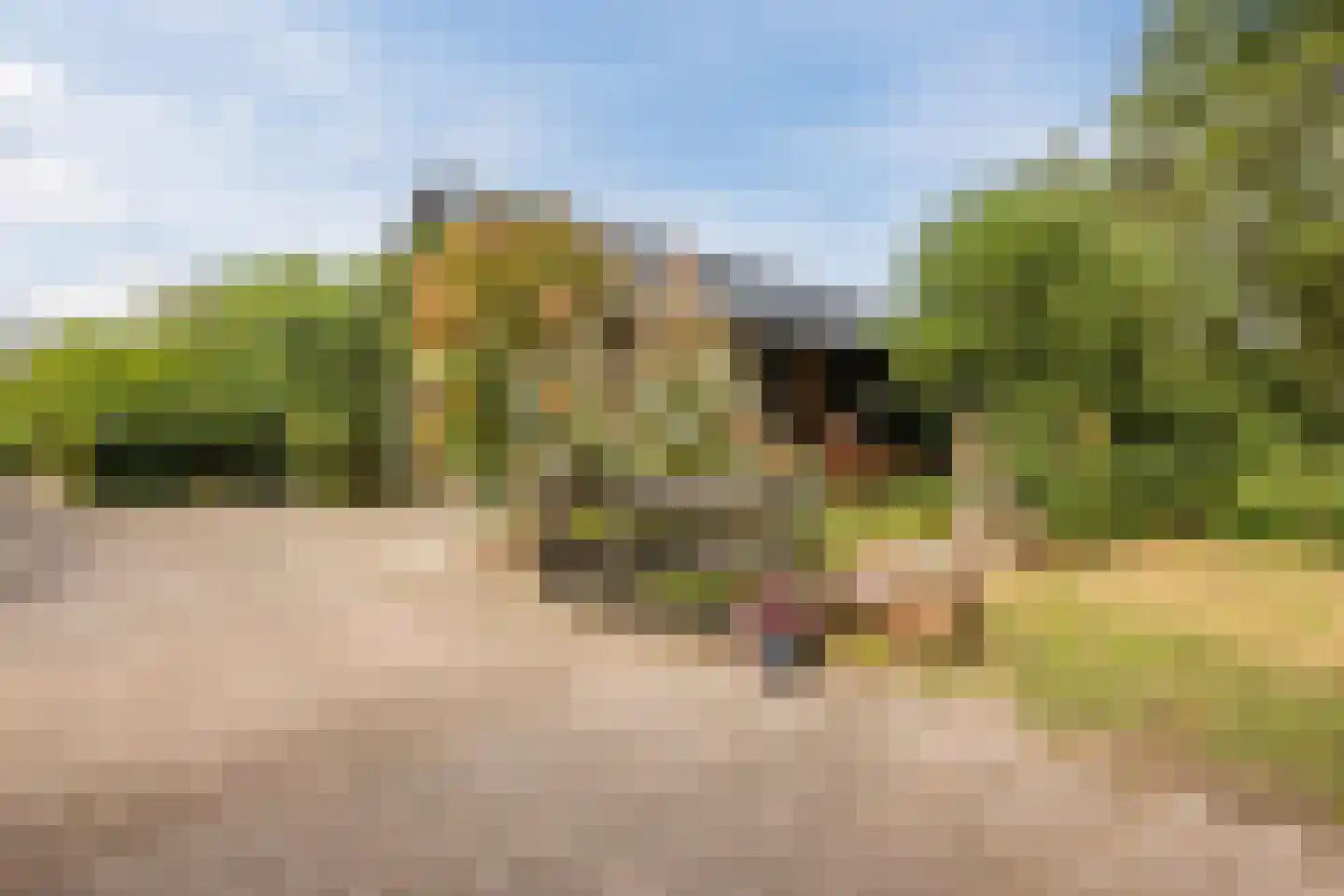 Modderwijk 5 Noordscheschut thumbnail 9
