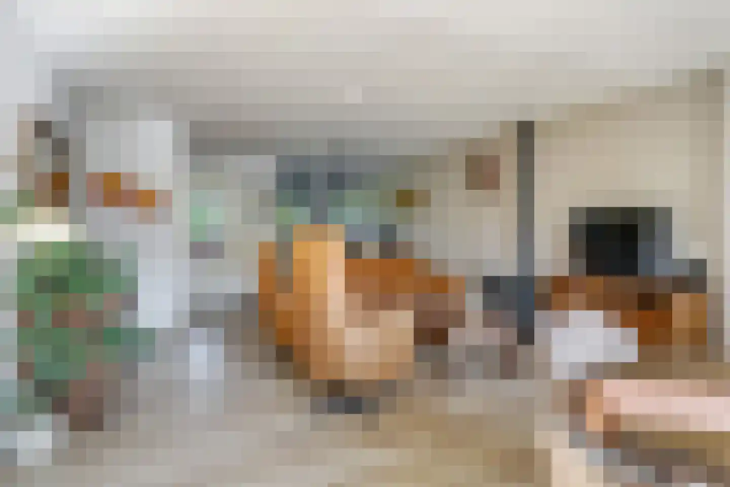 Modelmakerijstraat 25 Gaanderen thumbnail 16