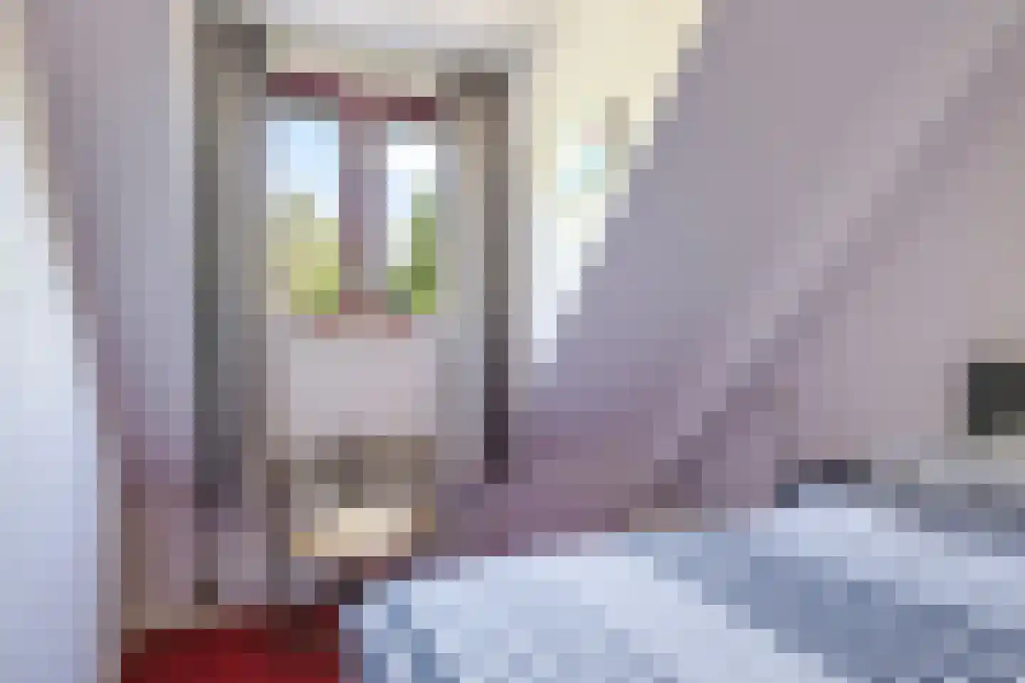 Modelmakerijstraat 25 Gaanderen thumbnail 26