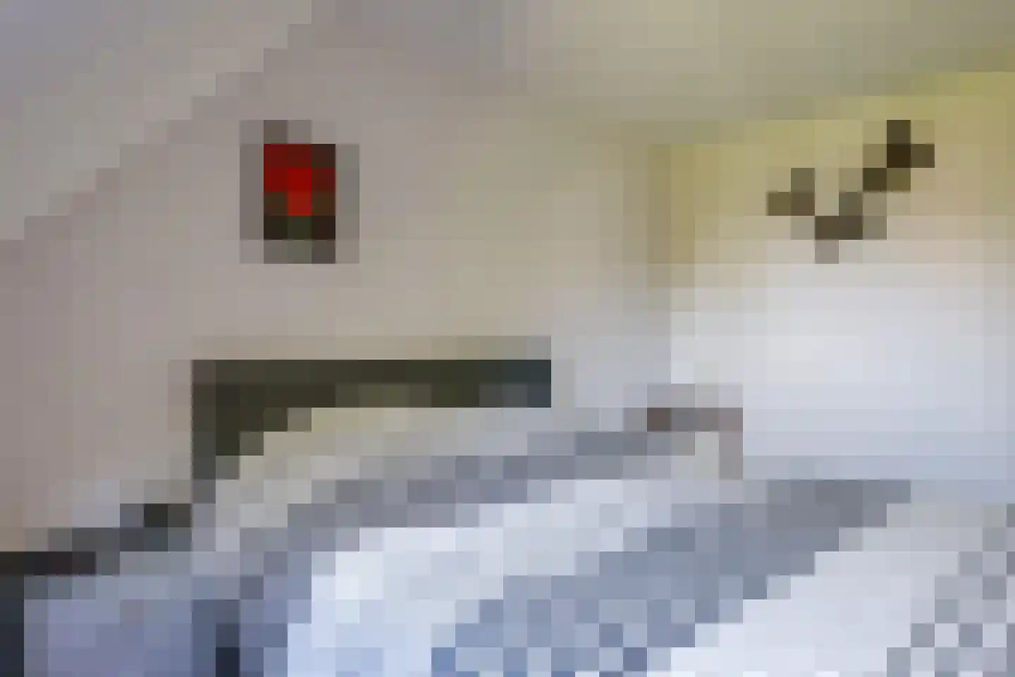 Modelmakerijstraat 25 Gaanderen thumbnail 27