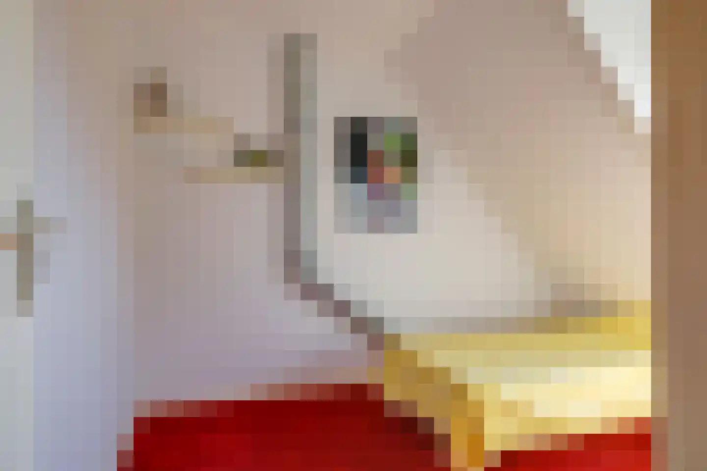 Modelmakerijstraat 25 Gaanderen thumbnail 28