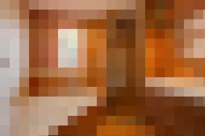 Moeckenkamp 13 De Steeg thumbnail 31