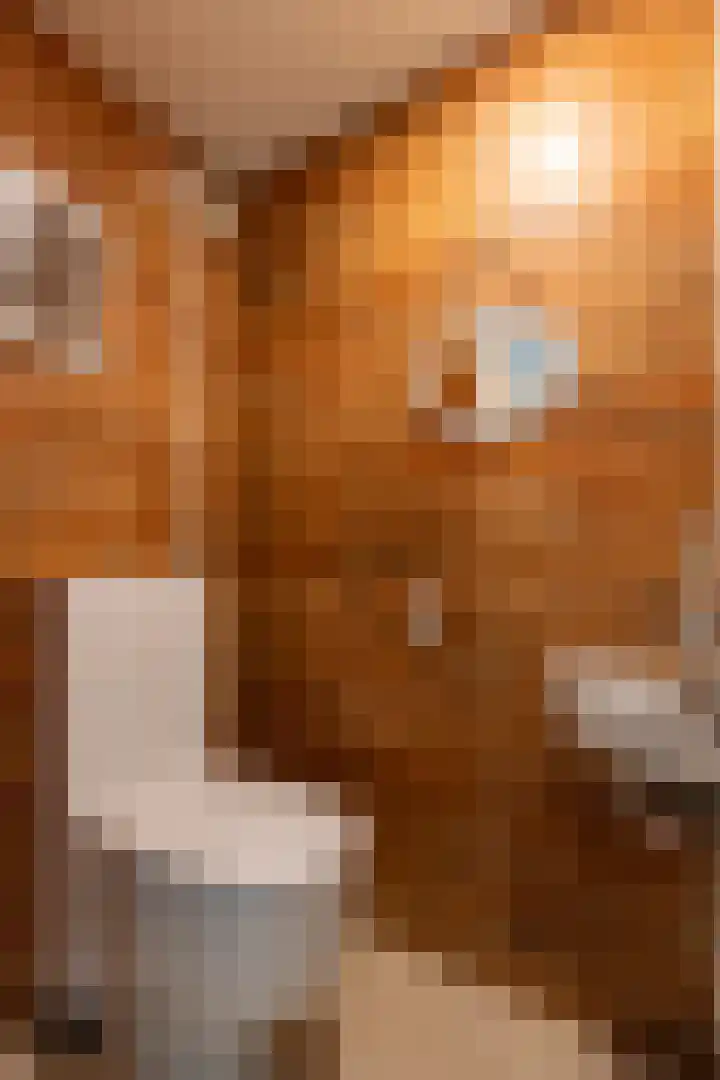 Moeckenkamp 13 De Steeg thumbnail 33