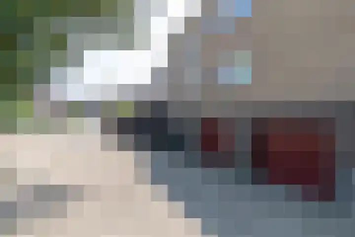 Moeckenkamp 13 De Steeg thumbnail 34