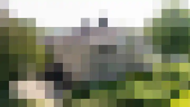 Moeckenkamp 13 De Steeg thumbnail 41