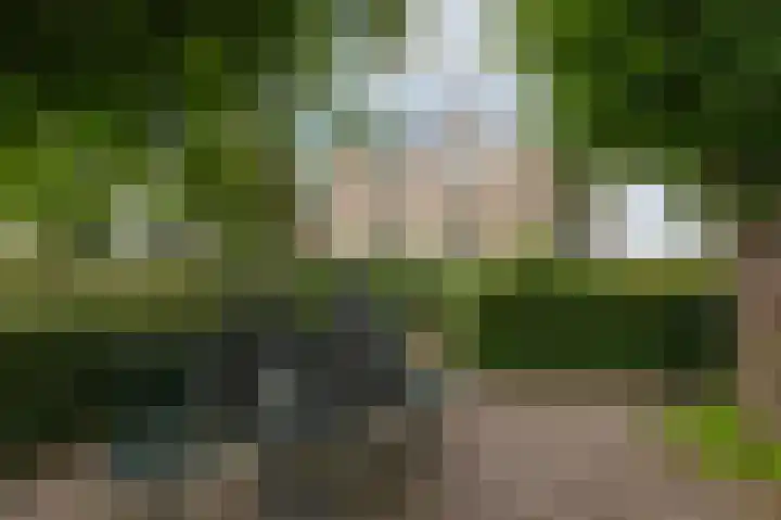 Moeckenkamp 13 De Steeg thumbnail 7