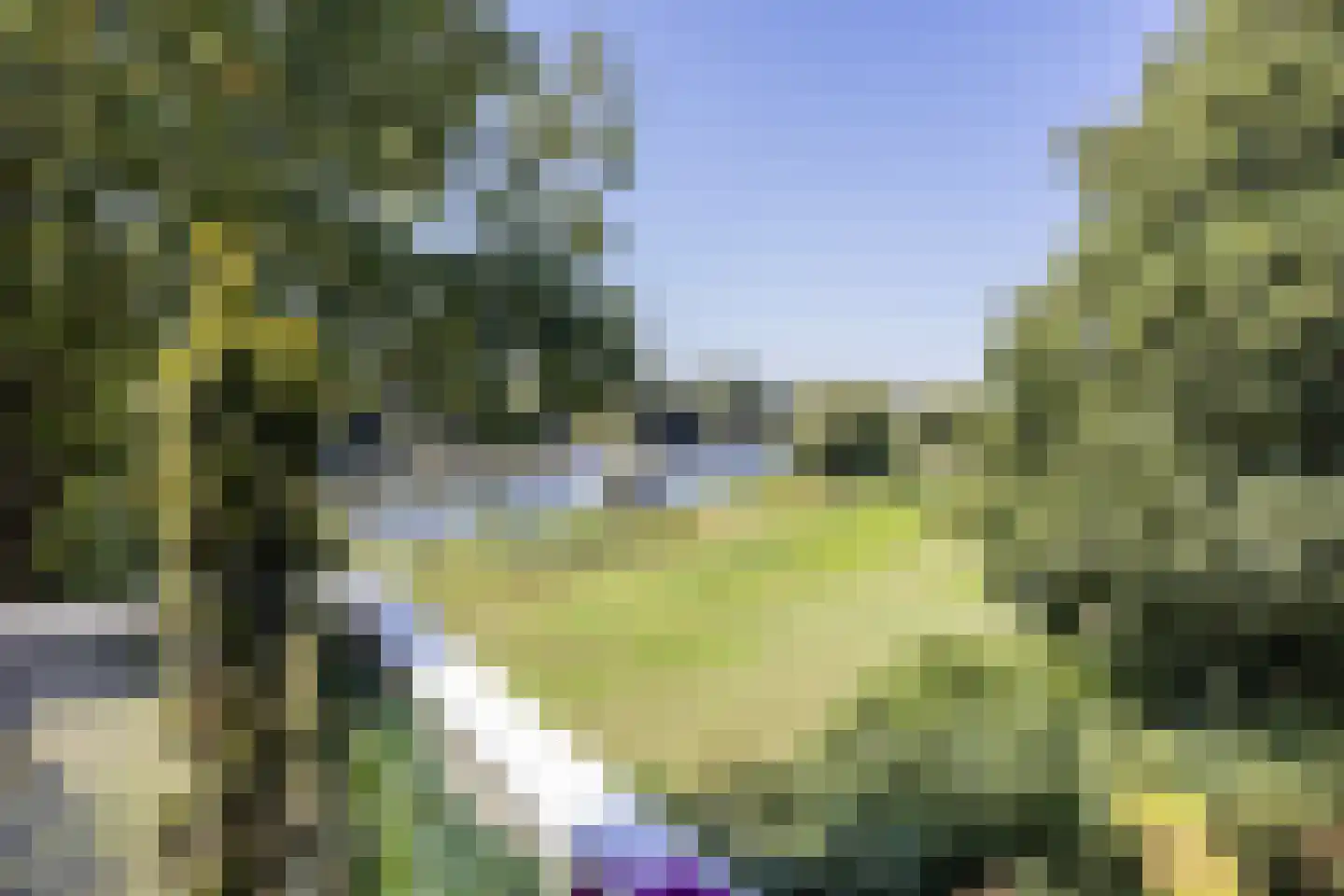 Moeckenkamp 14 De Steeg thumbnail 10