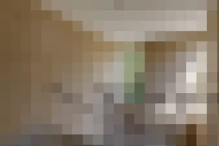 Moeckenkamp 14 De Steeg thumbnail 11