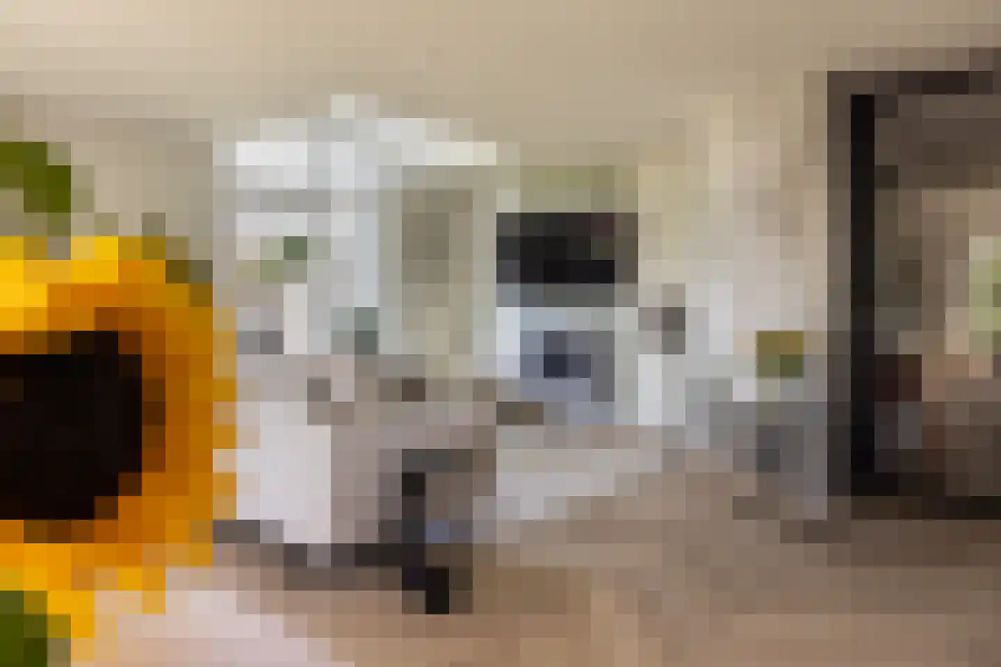 Moeckenkamp 14 De Steeg thumbnail 13