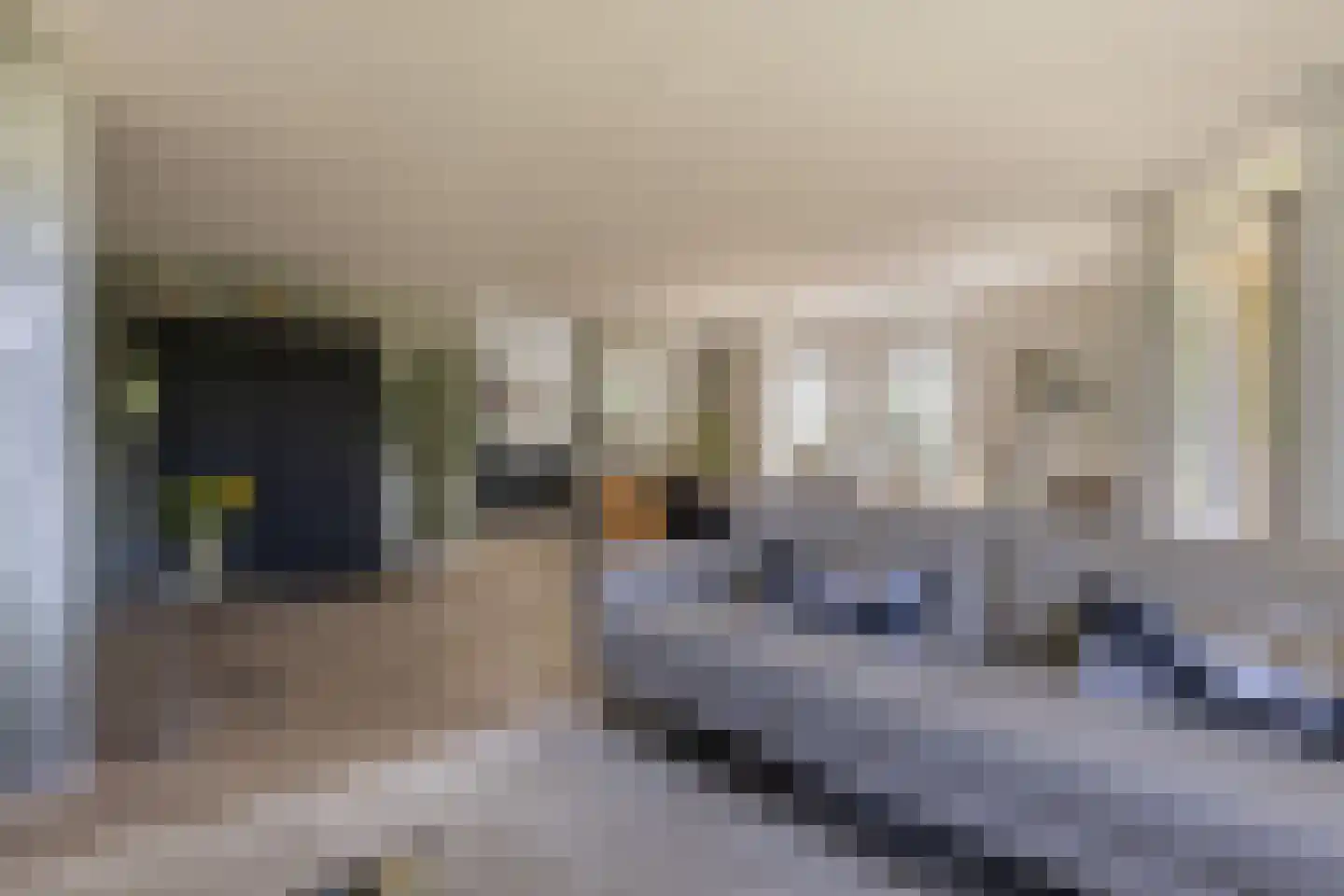 Moeckenkamp 14 De Steeg thumbnail 15