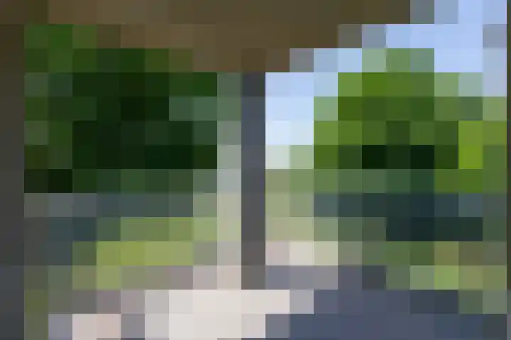Moeckenkamp 14 De Steeg thumbnail 16