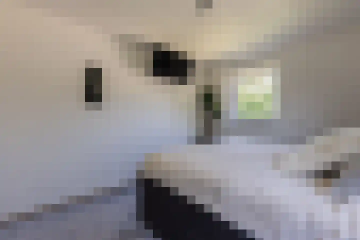 Moeckenkamp 14 De Steeg thumbnail 20